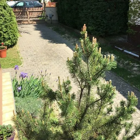 Andre & Moni Balatongyörök