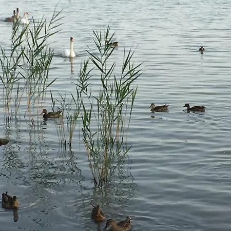 Apartment Andre & Moni *