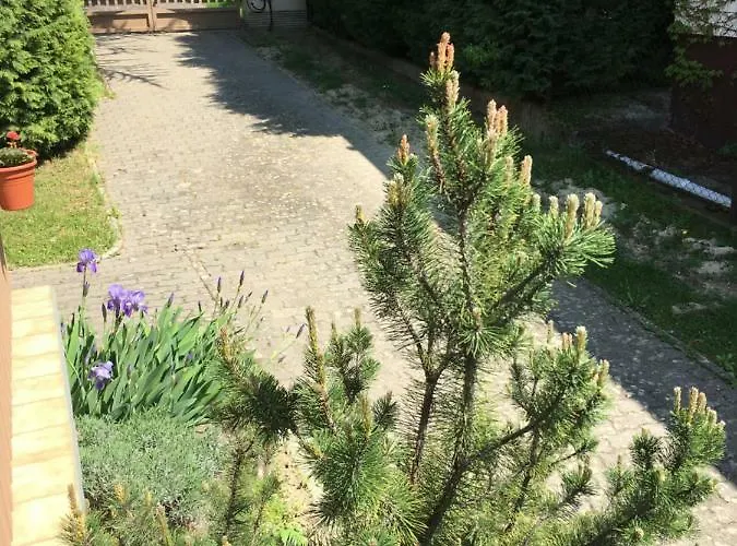 Andre & Moni Balatongyörök