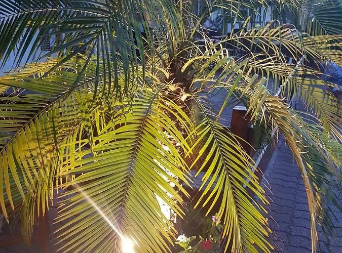 Andre & Moni Balatongyörök