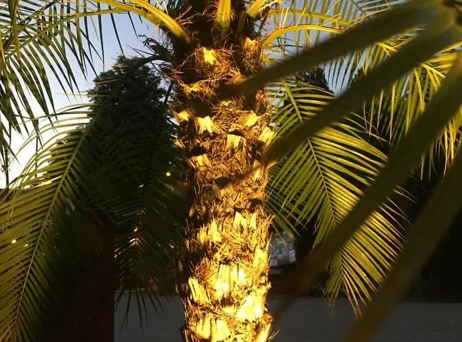 Andre & Moni * Balatongyörök