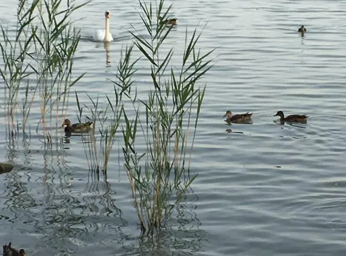 דירה Andre & Moni *